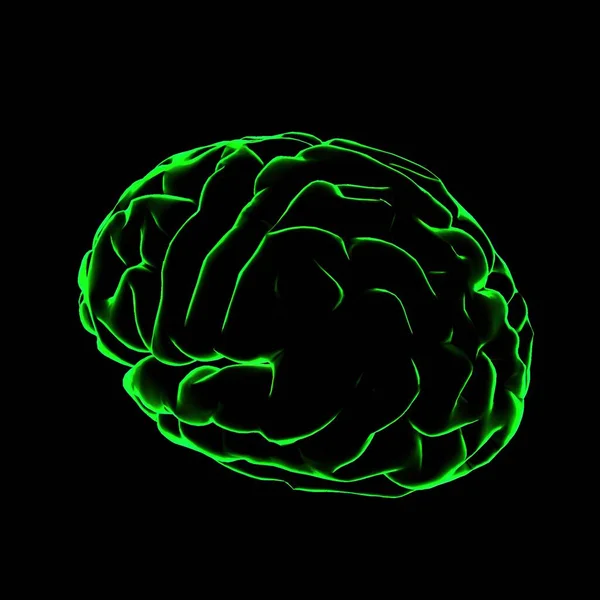 Illustration Couleur Cerveau Humain Avec Des Contours Verts Lumineux Sur — Photo