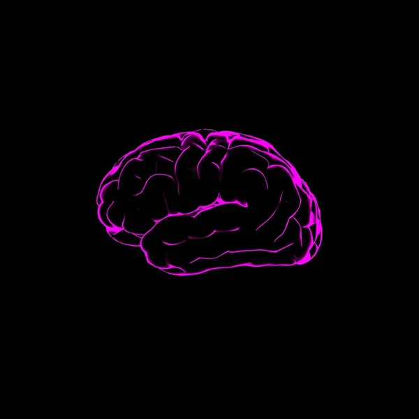 Color Illustration Human Brain Pink Glowing Outlines Black Background — Foto Stock