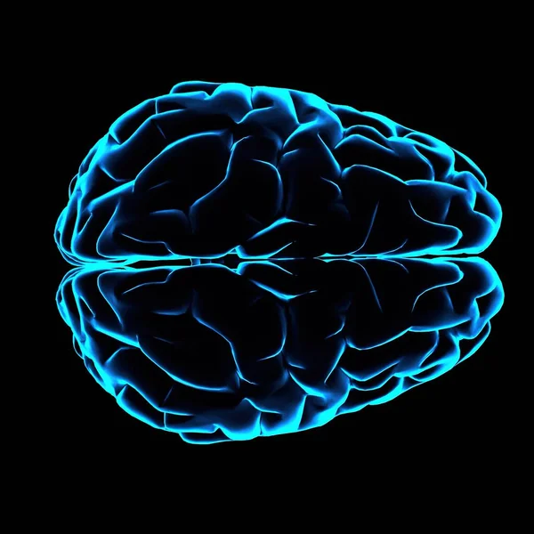 Color Illustration Human Brain Blue Glowing Outlines Black Background Лицензионные Стоковые Изображения