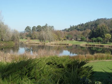 Famalicao 'daki Devesa Parkı' nda gölet