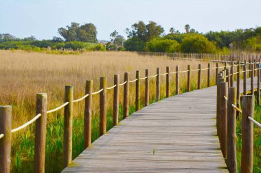 Barrinha de Esmoriz 'de yürüyüş yolları.