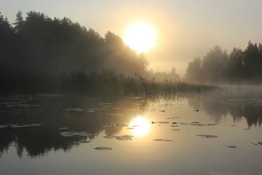 ladoga Gölü, Karelya, Rusya Federasyonu