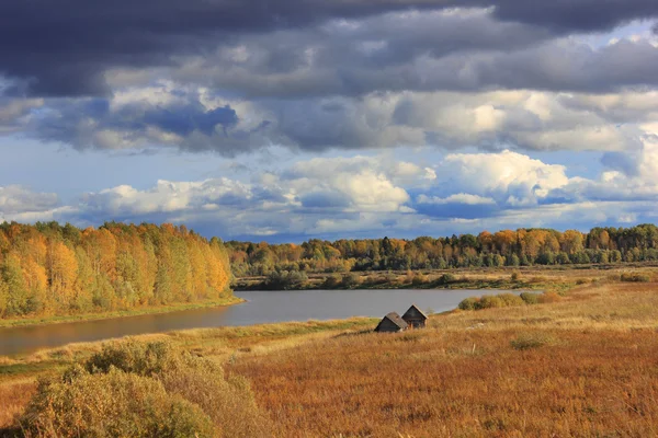 Bosque de otoño, Rusia — Foto de Stock