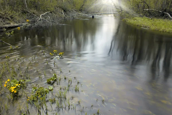 Il fiume Luga, Russia — Foto Stock