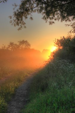 hay, şafak, novgorod bölgesi, Rusya demet