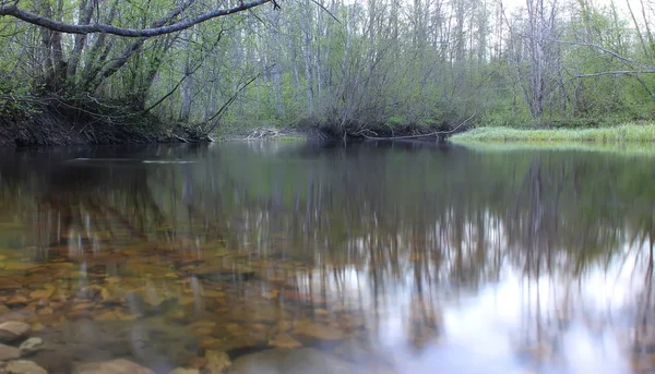 Der Fluss luga, russland — Stockfoto