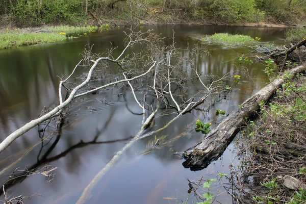 Nehrin Luga, Rusya Federasyonu