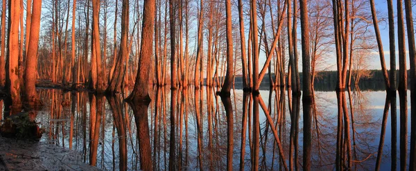 Maresme see, russland — Stockfoto