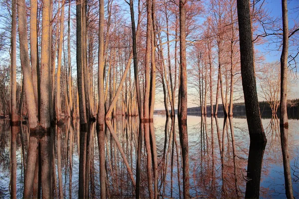 Maresme see, russland — Stockfoto