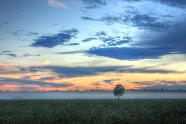 Зв'язування сіна на світанку, Новгородська область, Росія — стокове фото