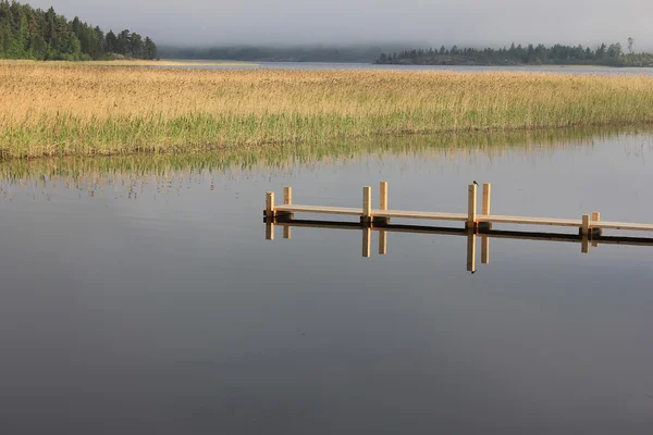 Sjön ladoga Karelen, Ryssland — Stockfoto