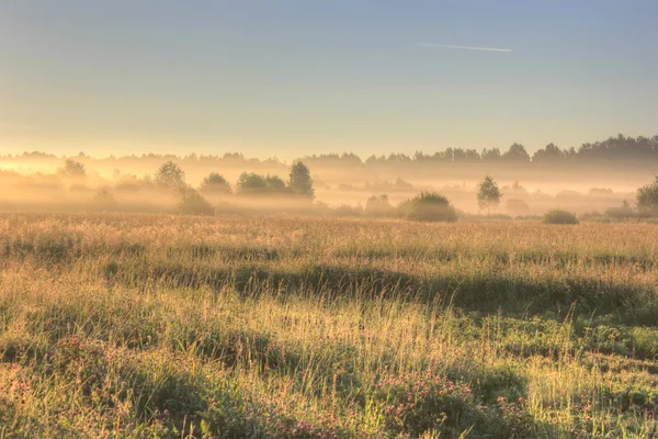夜明け、ノヴゴロド地域、ロシアで干し草の束 — ストック写真
