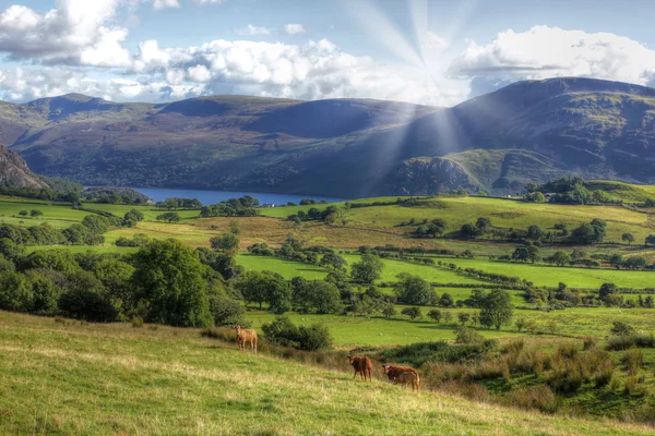 The lake district, United Kingdom — Stock Photo, Image