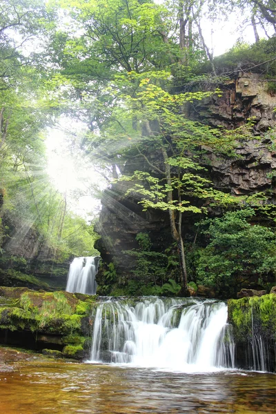 Forest waterfall, Wales, UK — Stock Photo, Image