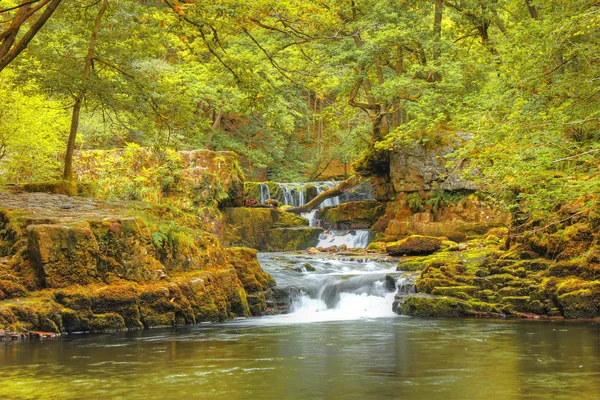 Floresta cachoeira, Gales, Reino Unido — Fotografia de Stock