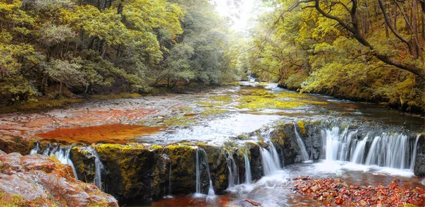 Floresta cachoeira, Gales, Reino Unido — Fotografia de Stock