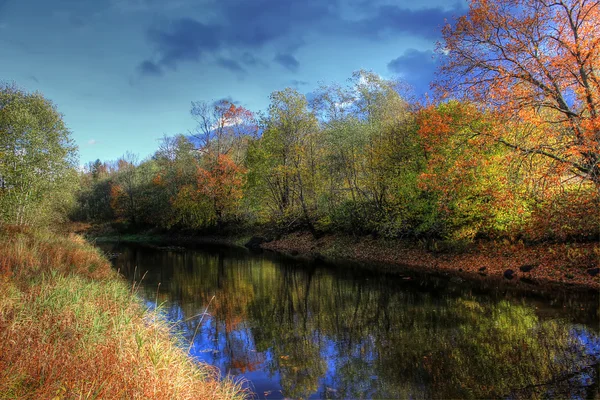 Autumn forest, Russia — Stock Photo, Image