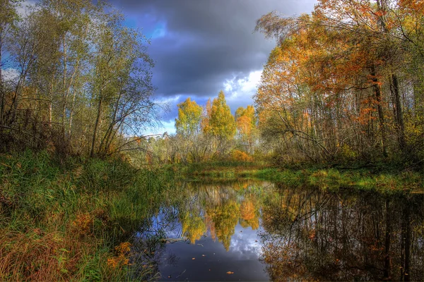 Sonbahar orman, Rusya Federasyonu — Stok fotoğraf