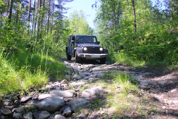 Forest Road, Karelia, Rússia — Fotografia de Stock