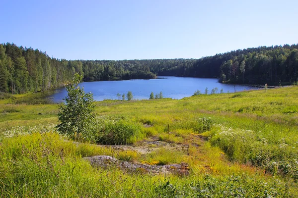 Forest lake, Karelia, Russia — Stock Photo, Image