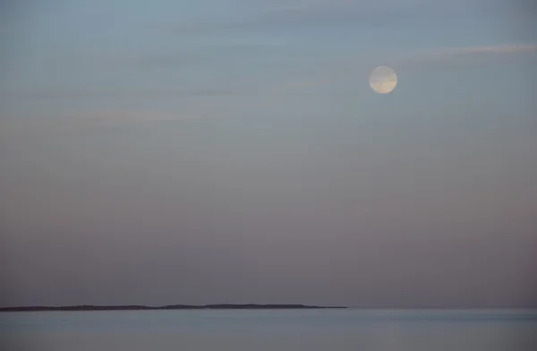 Isola deserta, lago Ladoga, Carelia — Foto Stock