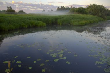 luga nehir, novgorod bölgesi, Rusya Federasyonu