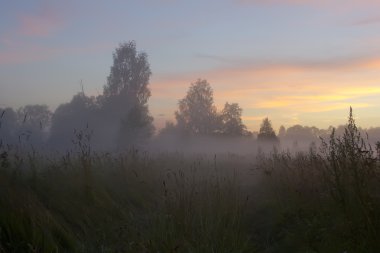 hay, şafak, novgorod bölgesi, Rusya demet