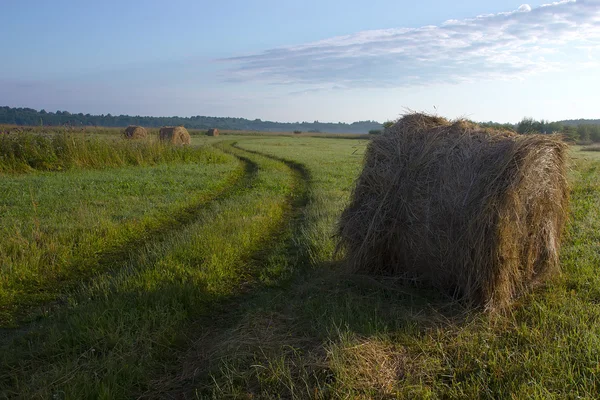 Snop siana na świcie, novgorod region, Federacja Rosyjska — Zdjęcie stockowe