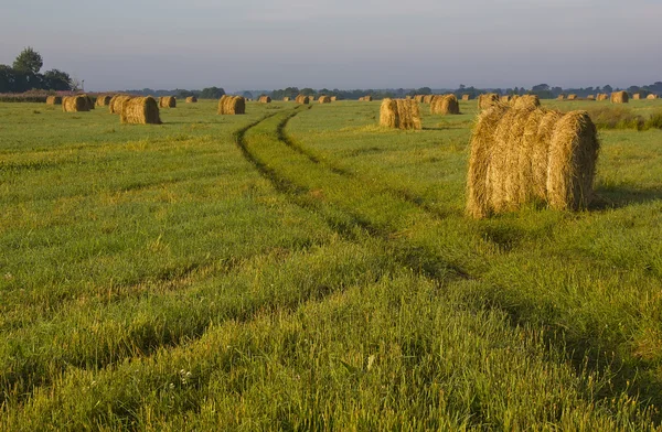 Snop siana na świcie, novgorod region, Federacja Rosyjska — Zdjęcie stockowe