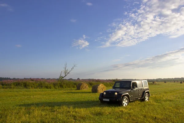 Jeep Wrangler no campo, região de Novgorod, Rússia — Fotografia de Stock