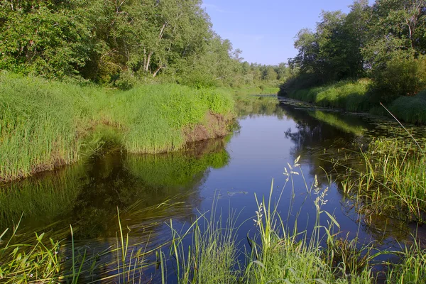 The Luga river, Novgorod region ,Russia — Stock Photo, Image