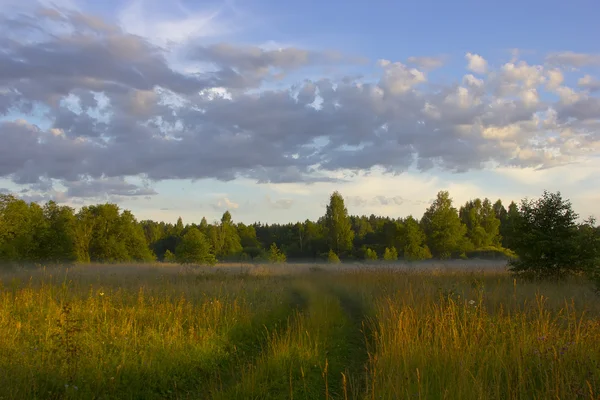 O feixe de feno ao amanhecer, região de Novgorod, Rússia — Fotografia de Stock