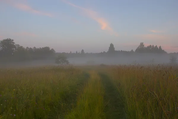 La gavilla de heno al amanecer, región de Novgorod, Rusia — Foto de Stock