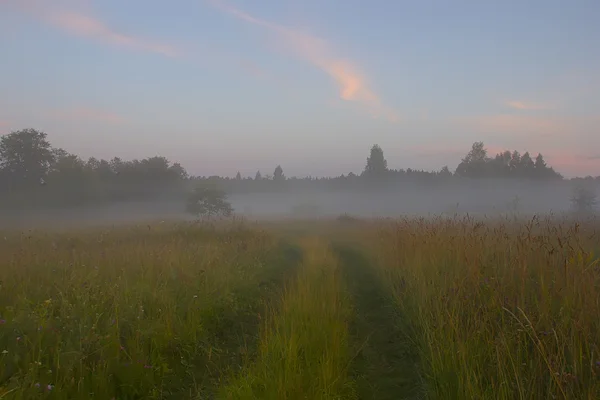 Snop sena na úsvitu, novgorod region, Rusko — Stock fotografie