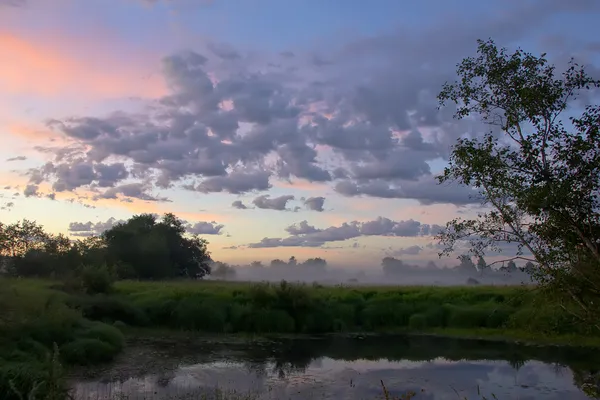 The Luga river, Novgorod region ,Russia — Stock Photo, Image