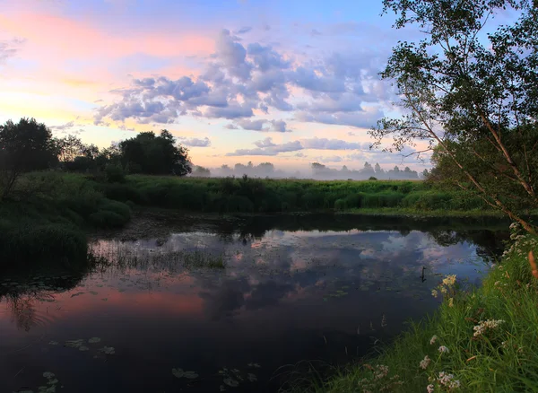 El río Luga, región de Novgorod, Rusia —  Fotos de Stock