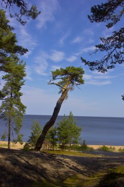 Ladoga Gölü, Priozersk, Rusya Federasyonu