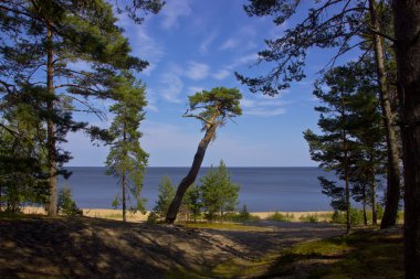 Ladoga Gölü, Priozersk, Rusya Federasyonu