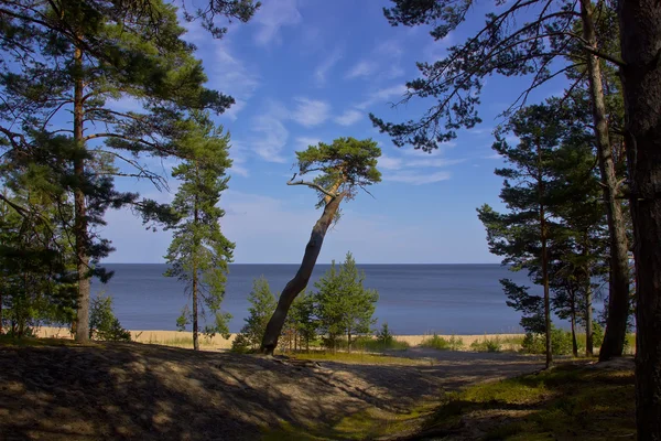 Ladogasee, priosersk, russland — Stockfoto