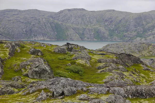 La mer de Barents, région de Mourmansk, Russie — Photo