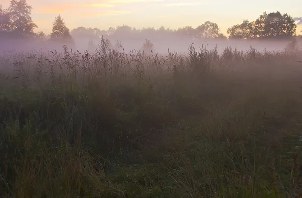 Snop sena na úsvitu, novgorod region, Rusko — Stock fotografie