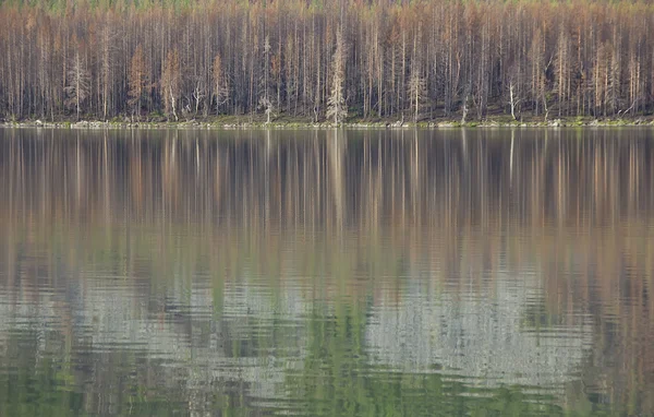 禿げた山の湖、kola 半島ロシア ムルマンスク地域に — ストック写真