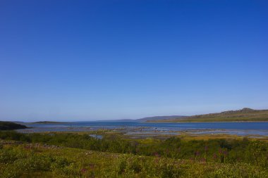 barents Denizi, murmansk bölgesi, Rusya Federasyonu