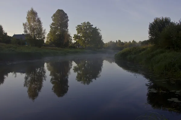 Râul Luga, regiunea Novgorod, Rusia — Fotografie, imagine de stoc