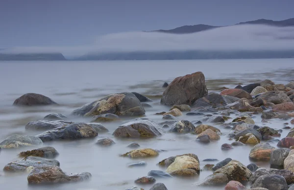 barents Denizi, murmansk bölgesi, Rusya Federasyonu