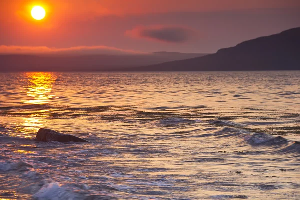 Barents Denizi, murmansk bölgesi, Rusya Federasyonu — Stok fotoğraf