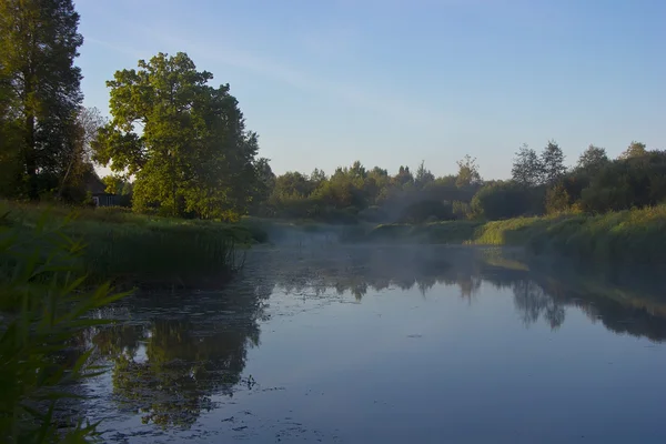 O rio Luga, região de Novgorod, Rússia — Fotografia de Stock