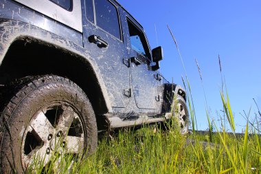 Jeep wrangler sınırsız sahara ormanda, Rusya Federasyonu