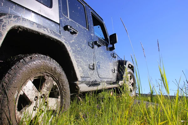 Jeep wrangler unlimited sahara w lesie, Rosja — Stockfoto