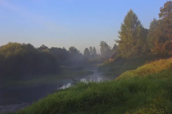 El río Luga, región de Novgorod, Rusia — Foto de Stock